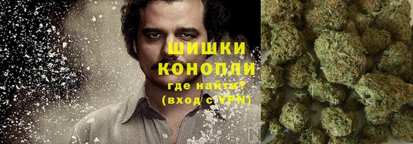 apvp Осташков