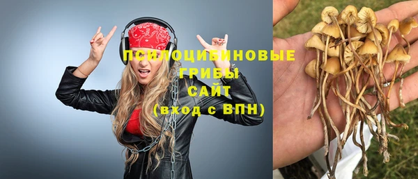 прущая мука Осинники