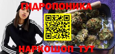 гашик Балахна