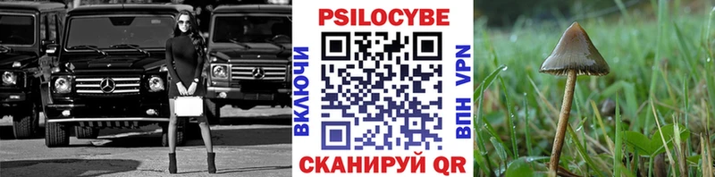 Галлюциногенные грибы Cubensis  Богородицк 