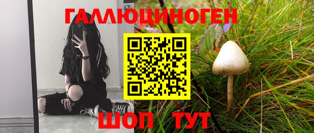 Псилоцибиновые грибы GOLDEN TEACHER Богородицк