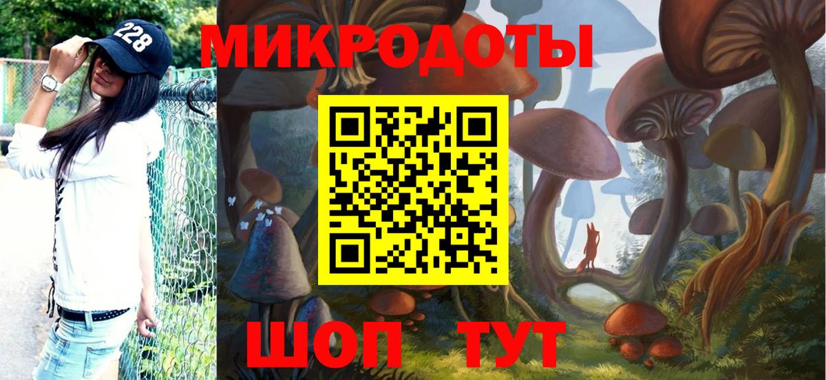 Галлюциногенные грибы Psilocybe Богородицк