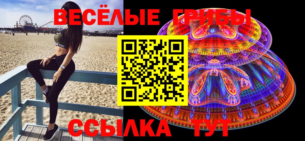 Богородицк  Псилоцибиновые грибы прущие грибы  Галлюциногенные грибы Psilocybine cubensis  Вход с VPN 